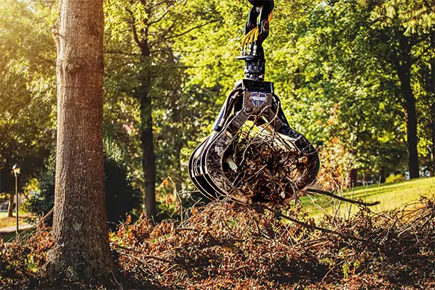 Are Cheap Tree Removal Services Worth the Risk?