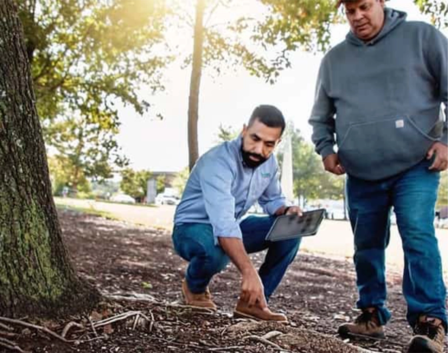 Trusted Tree Care for Every Sector