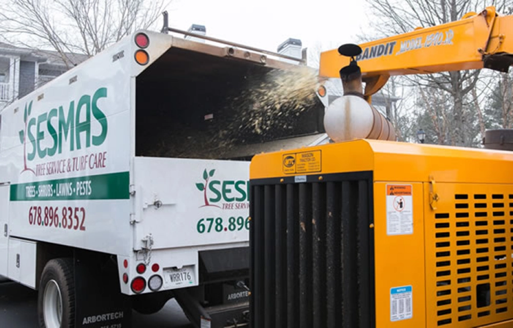 Skills You'll Use and Learn