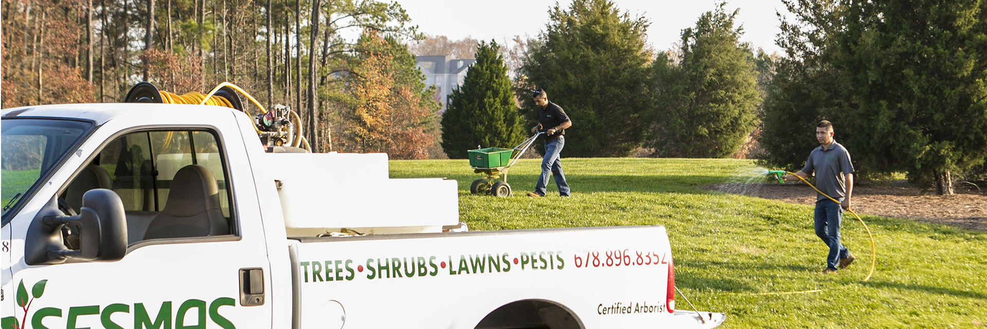 Phytophthora Root Rot Disease