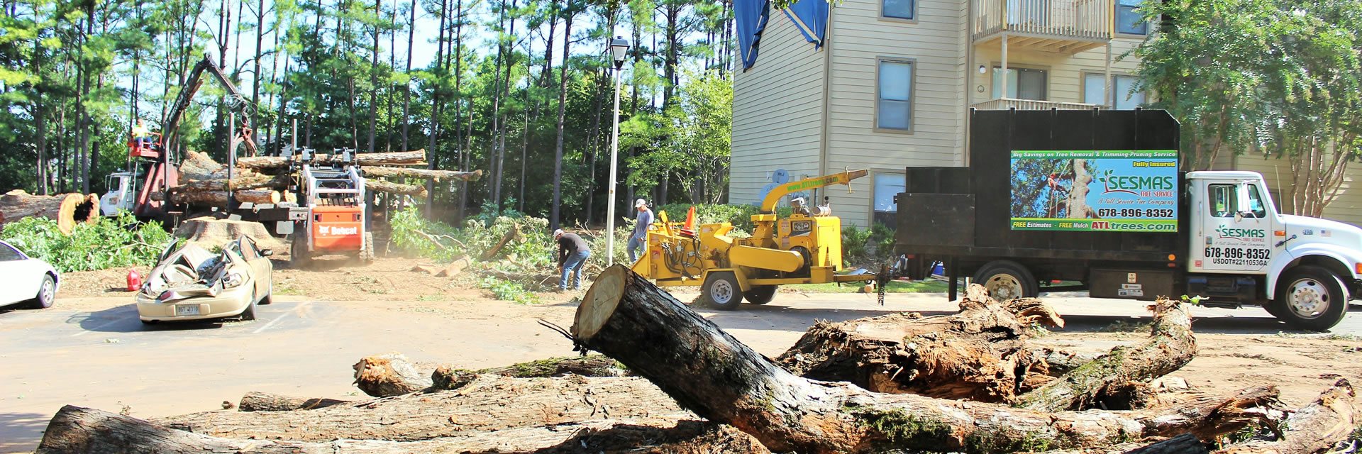 How We Safely Remove Large Trees from Small Spaces