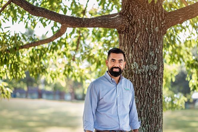 Tree Service in Alpharetta