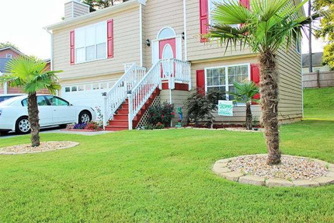 Tree Service in Duluth