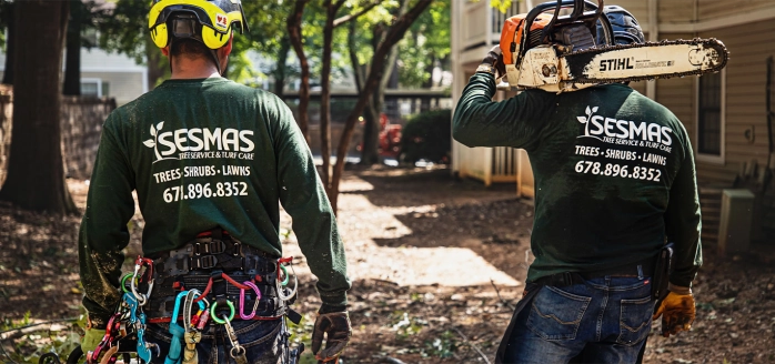 Tree Service in Lawrenceville