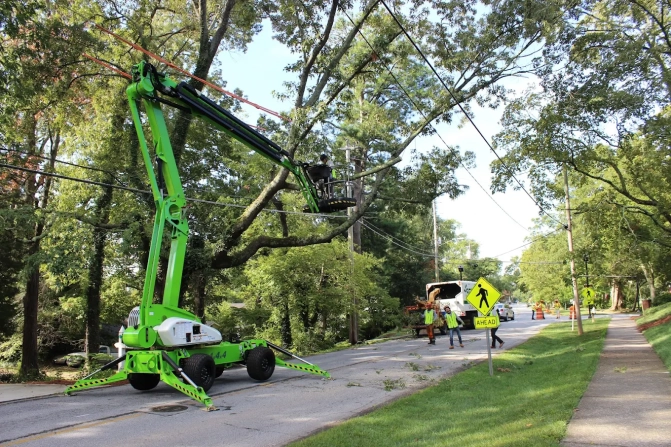 Tree Service in Alpharetta