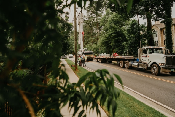 Dos and Don’ts of Tree Care