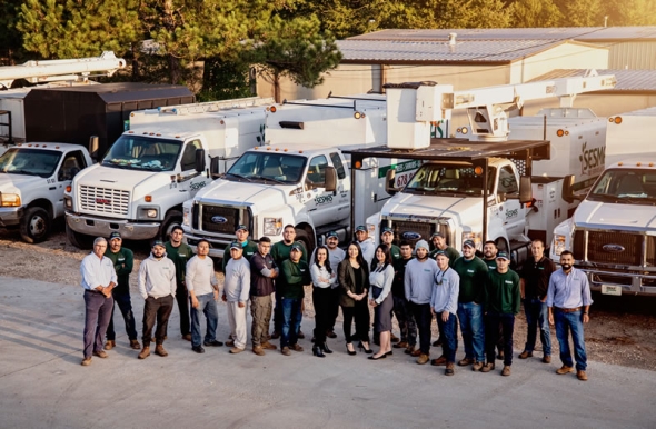 How to Find a Reliable Tree Company