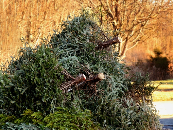  What is Green Waste Recycling?