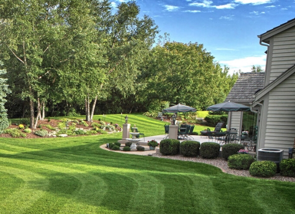  Should I Fertilize My Lawn in Fall?