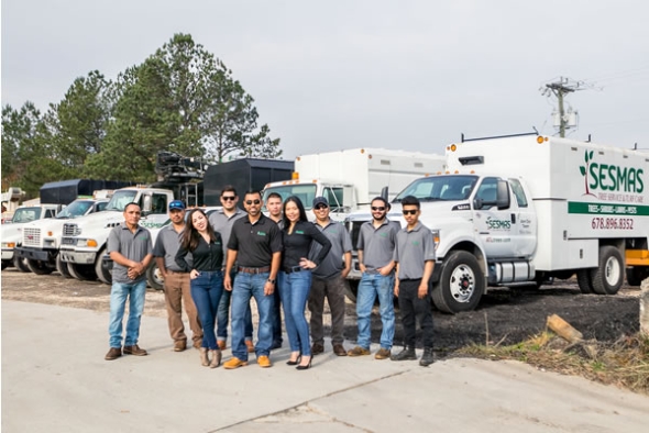 Help Your Trees Survive the Drought