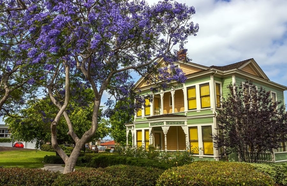 How to Plant Trees in Your Landscape for Extra Shade