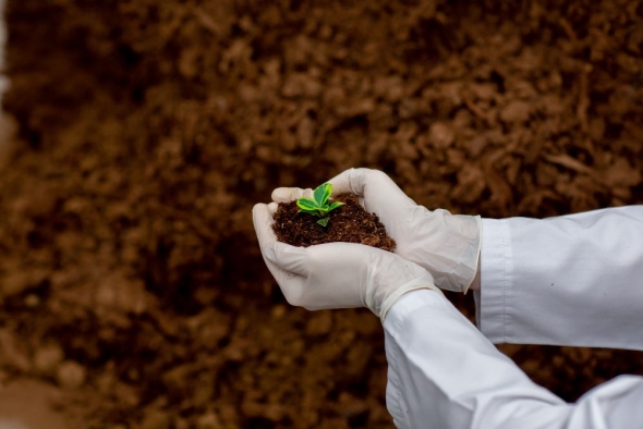 Why Should a Homeowner Perform a Soil Test? 