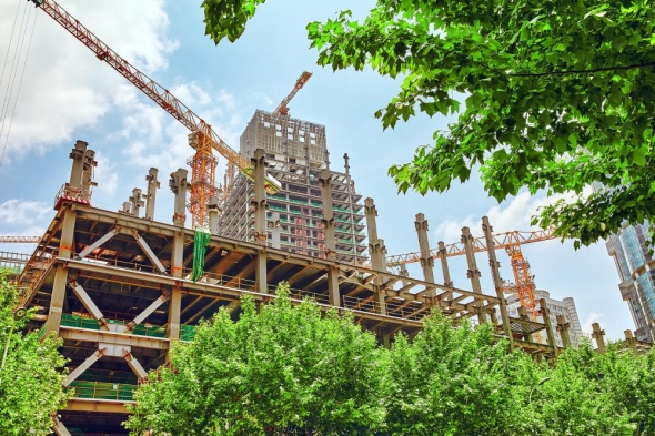 Tree Protection During and After Construction