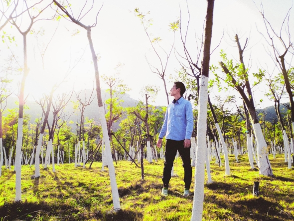 Long-Term Tree Care Plans for a Healthy Landscape