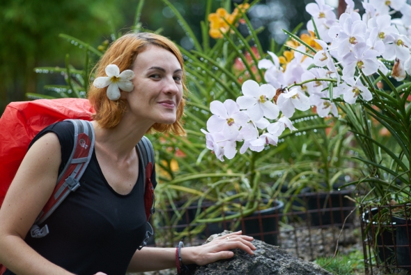 How Plant Health Care Improves Landscape Longevity