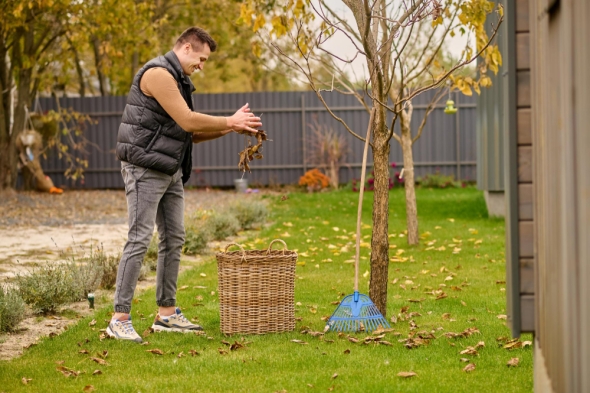 Why Seasonal Tree Maintenance Matters for Healthy Landscapes