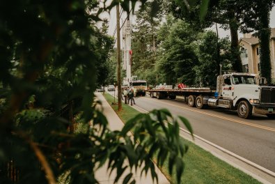 Dos and Don’ts of Tree Care