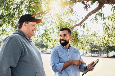 The Importance of Commercial Tree Services