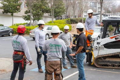 What Does A Tree Care Company Do?