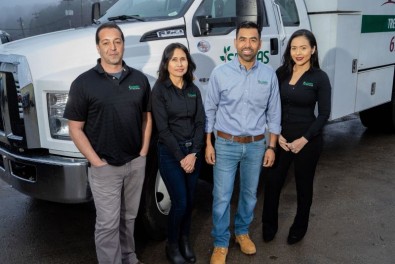 4 Things to Look for When Finding a Reputable Tree Service Company