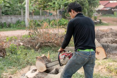 From Eyesore to Opportunity: How Stump Grinding Transforms Your Yard