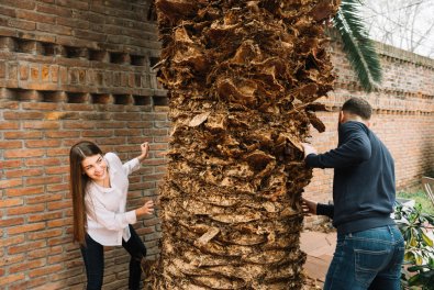 When a Tree Stops Being an Asset and Becomes a Risk