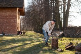 Hidden Costs of Leaving a Tree Stump in Your Yard