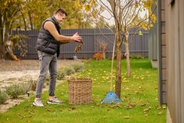 Why Seasonal Tree Maintenance Matters for Healthy Landscapes