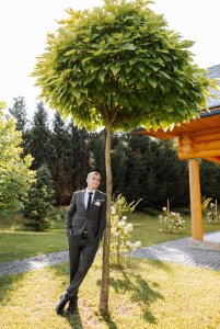 Plant This, Not That: Choosing the Right Tree for Your Yard’s Future