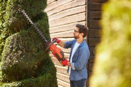 To Trim or Not to Trim: How to Know When Your Trees Just Need a Haircut