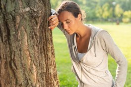 Is Your Favorite Shade Tree Stressed? 5 Warning Signs to Watch For