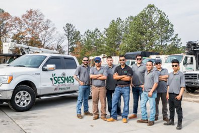 What to Consider When Hiring an Arborist?