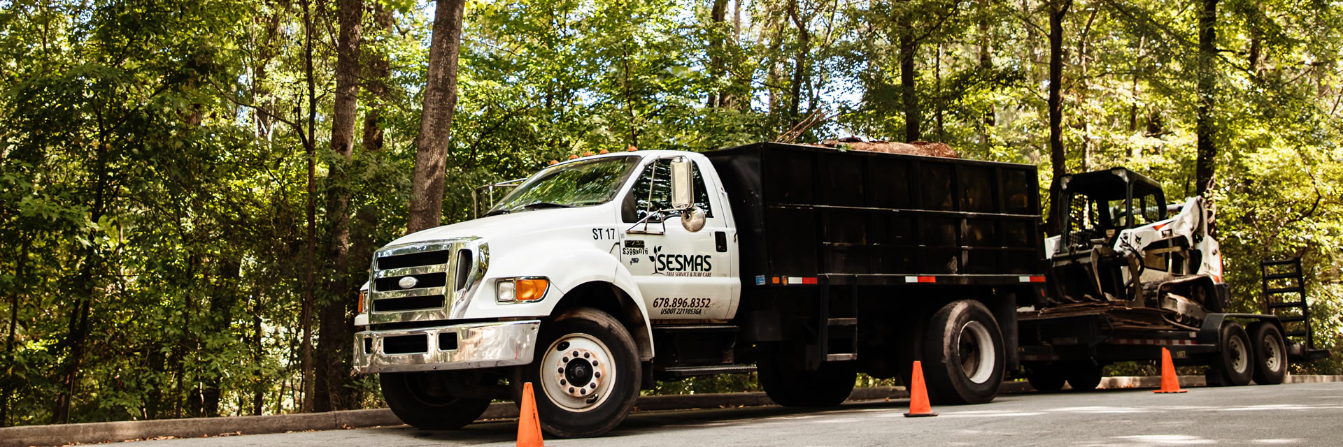 Reliable Tree Removal & Care Services in Brookhaven, GA