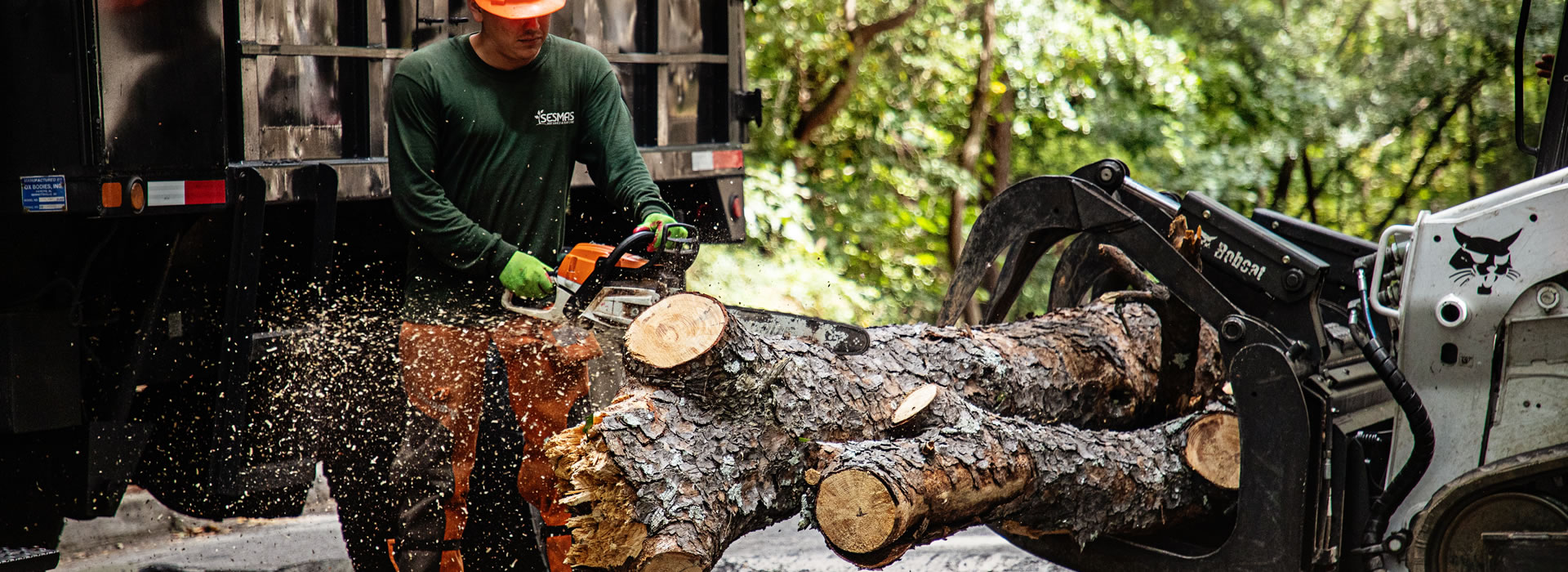 Reliable Tree Removal & Care Services in Cumming, GA