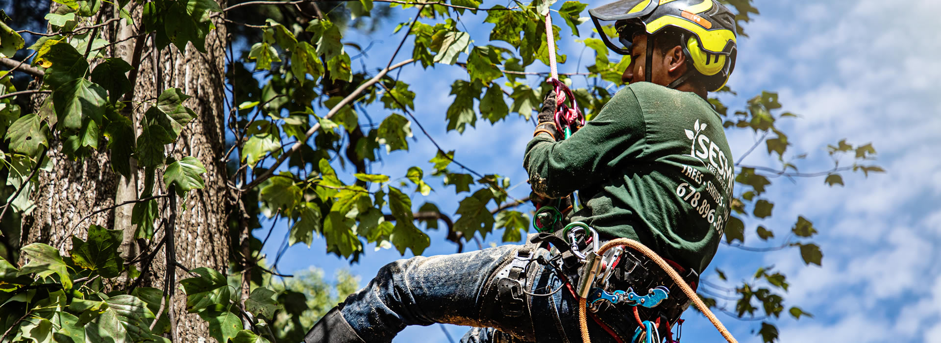 Reliable Tree Removal & Care Services in Decatur, GA