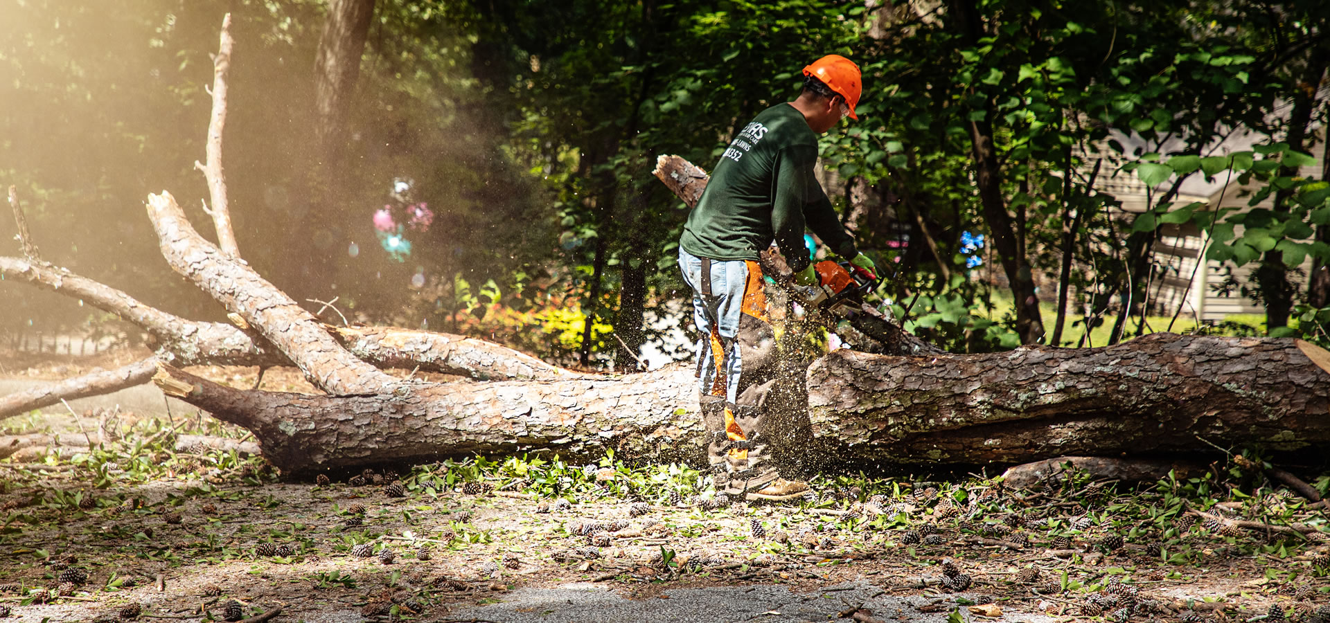 Reliable Tree Removal & Care Services in Buford, GA