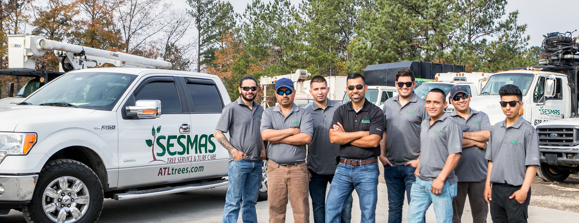 Reliable Tree Removal & Care Services in Athens, GA