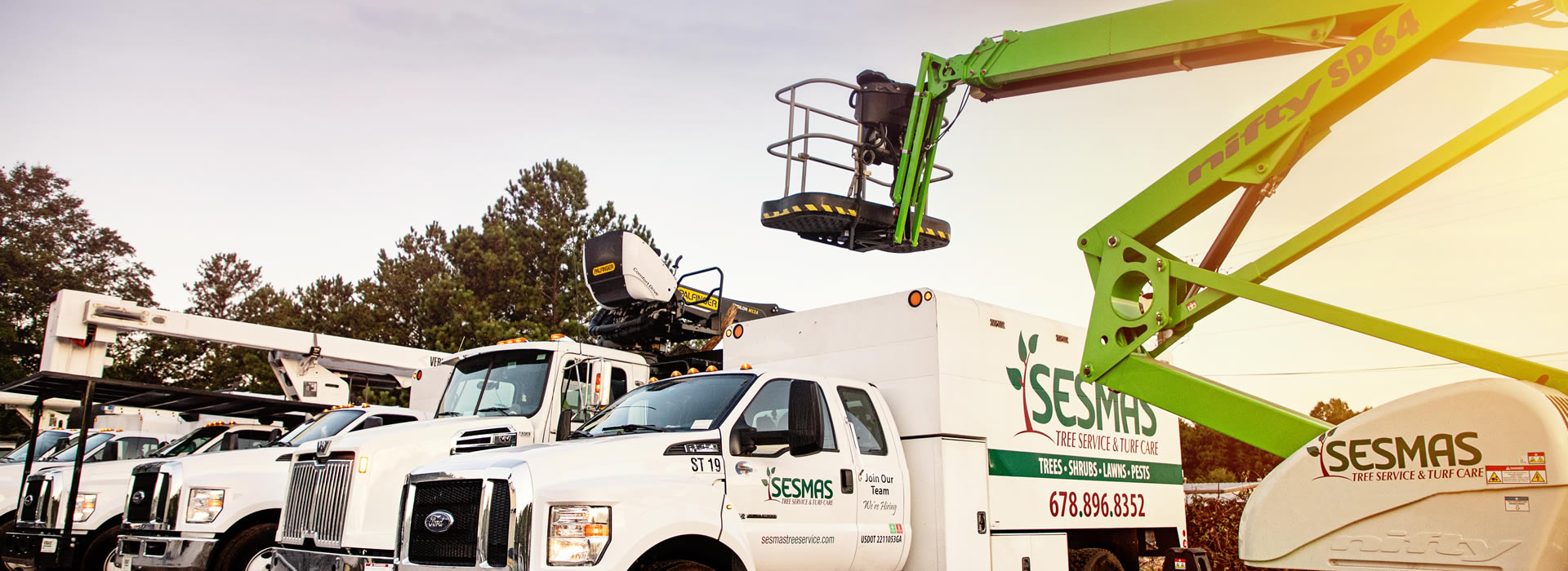 Reliable Tree Removal & Care Services in Acworth, GA