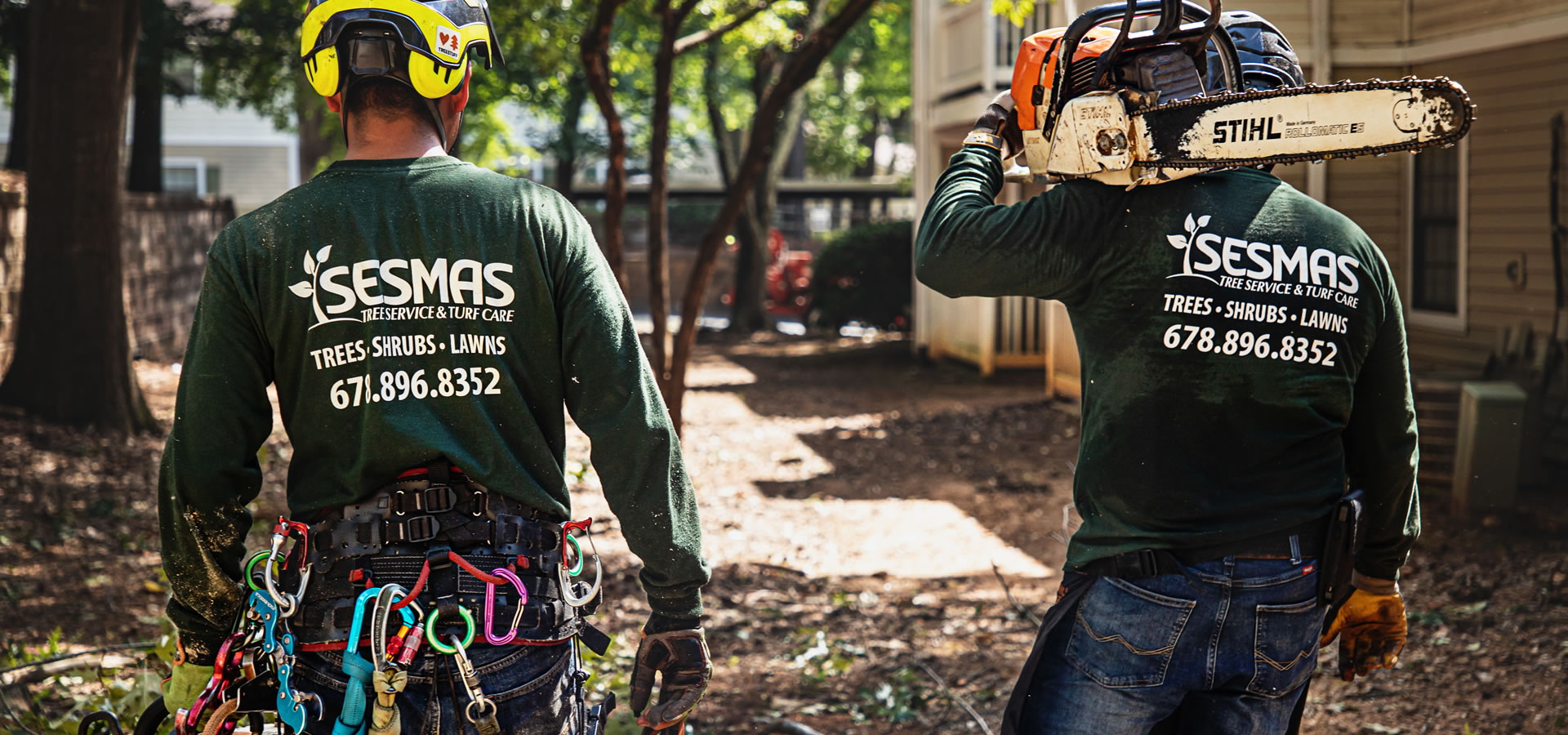 Reliable Tree Removal & Care Services in Charlotte, NC