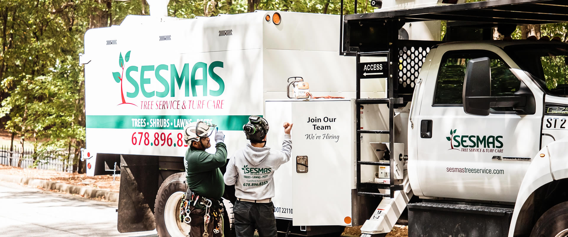 Reliable Tree Removal & Care Services in Concord, NC