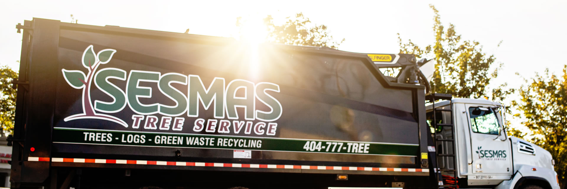 Reliable Tree Removal & Care Services in Fort Mill, SC