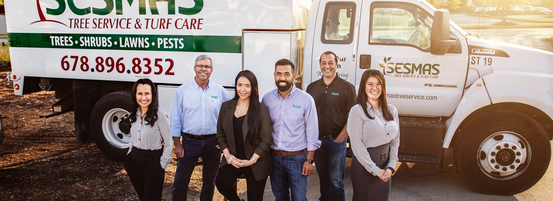 Reliable Tree Removal & Care Services in Mint Hill, NC