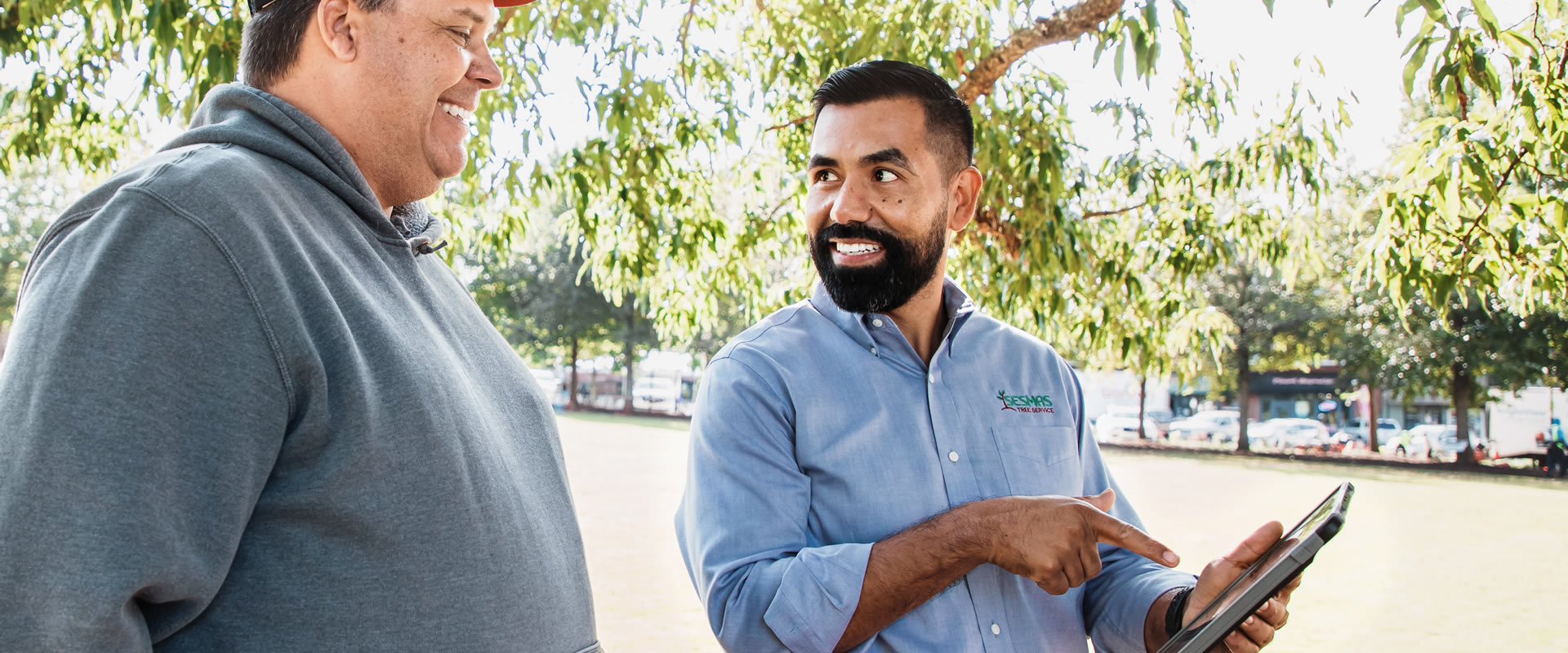 Reliable Tree Removal & Care Services in Kannapolis, NC