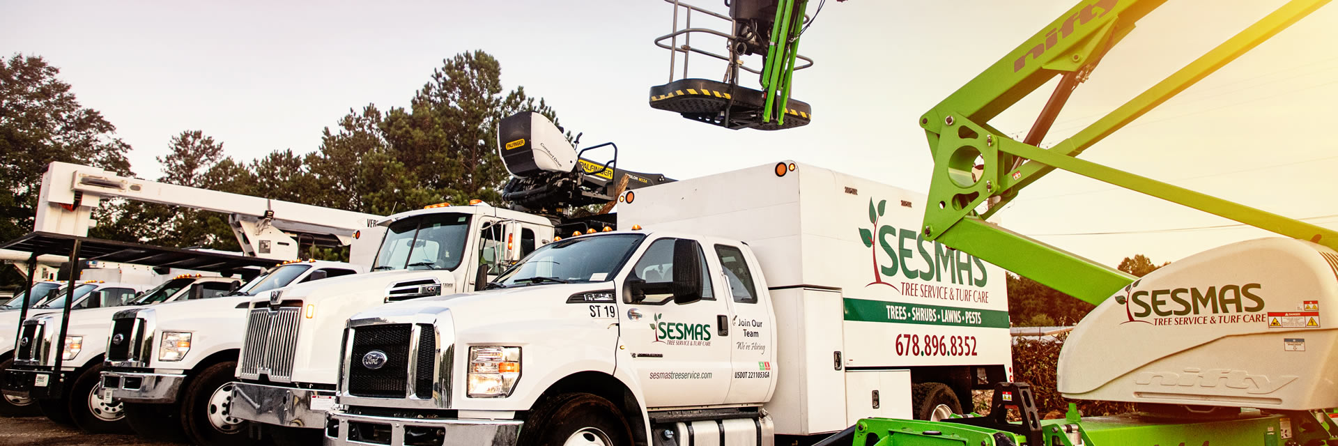 Reliable Tree Removal & Care Services in Rock Hill, SC