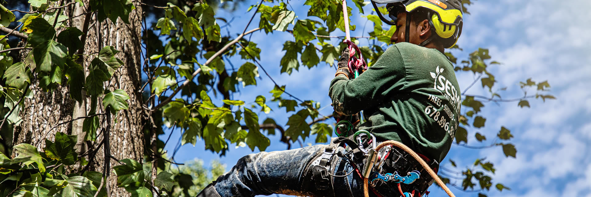 Reliable Tree Removal & Care Services in Duluth, GA