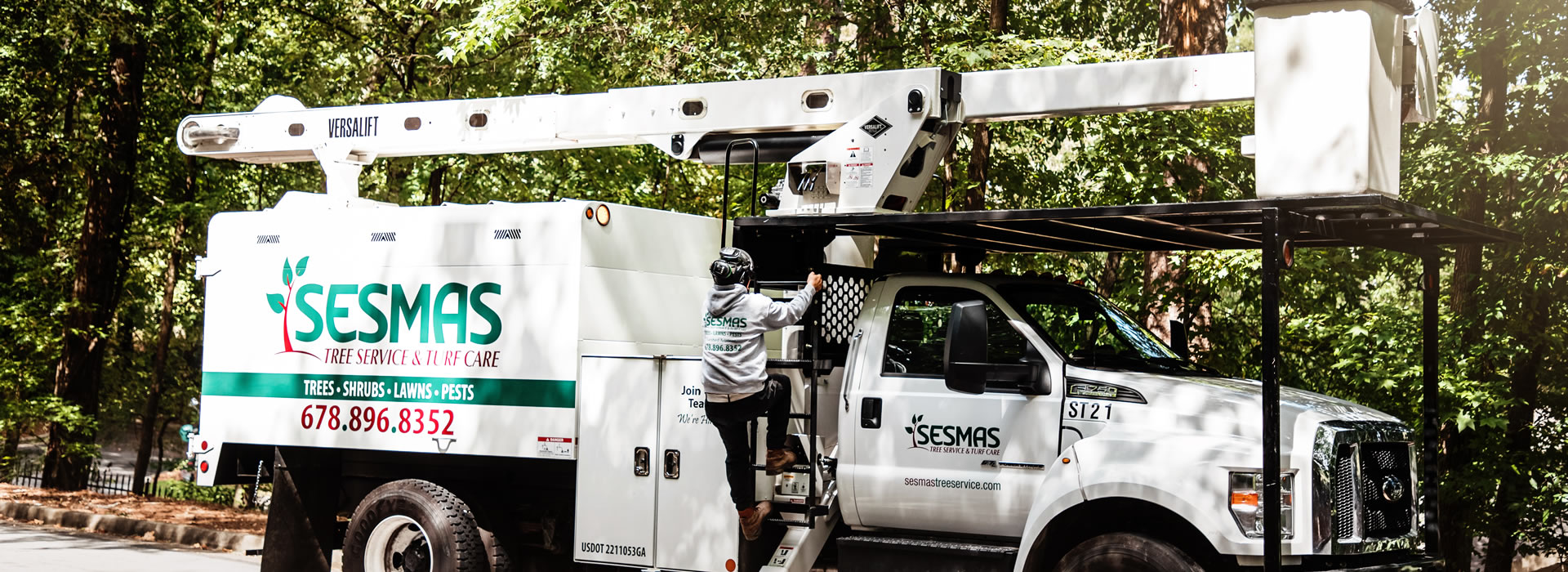 Reliable Tree Removal & Care Services in Dunwoody, GA