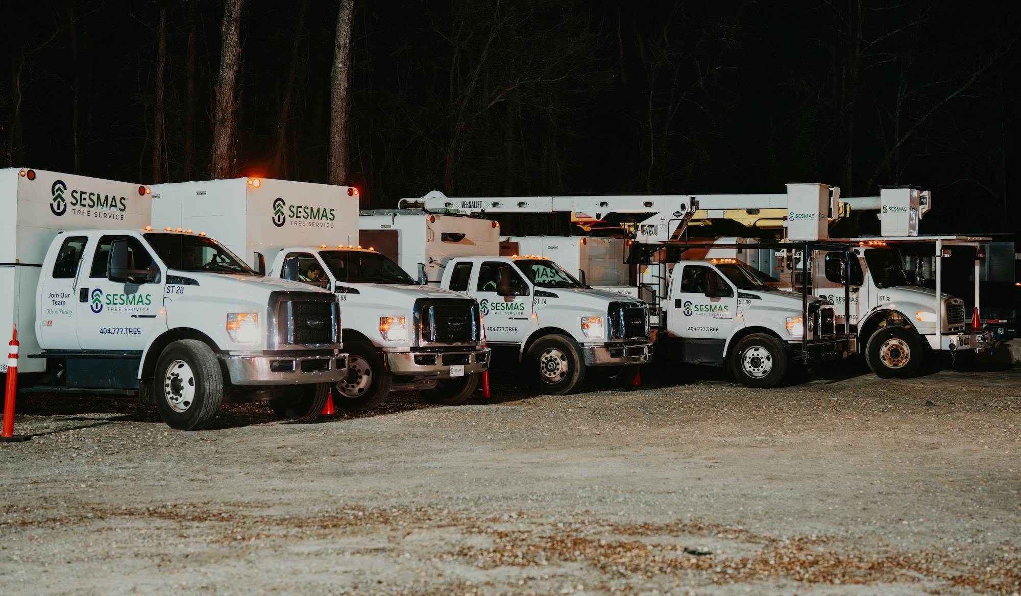 Reliable Tree Removal & Care Services in Mint Hill, NC