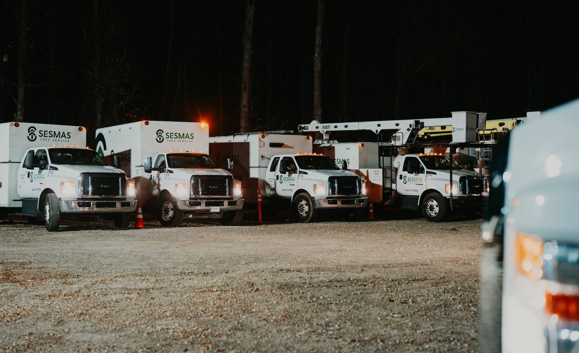 Reliable Tree Removal & Care Services in Kannapolis, NC