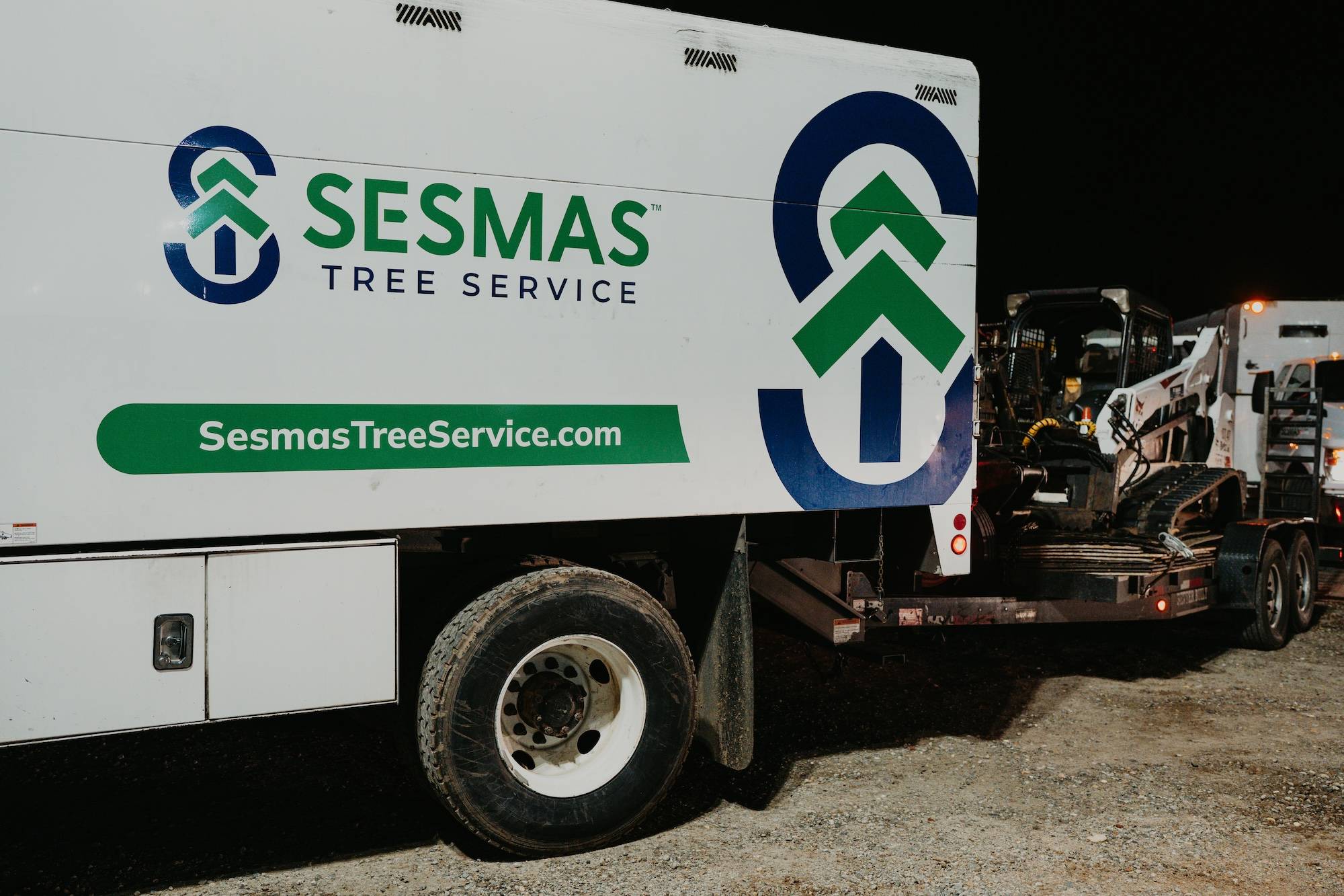 Reliable Tree Removal & Care Services in Belmont, NC