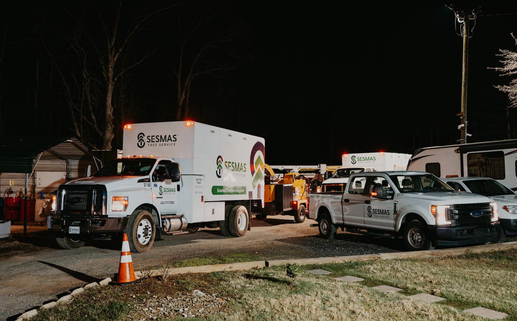 Reliable Tree Removal & Care Services in Concord, NC